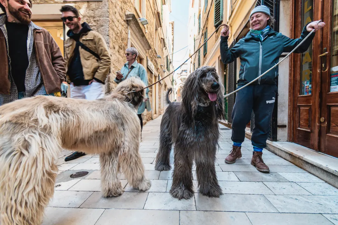 Kuni i Santos oličenje su elegancije i dramatičnosti, ali i jedna od najstarijih pasmina koja je lovila leoparde
