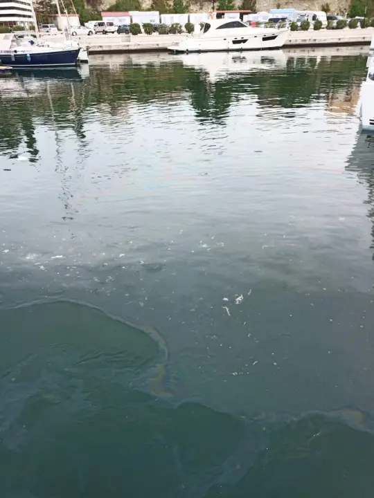 More u Mandalini i dalje prekriveno naftnom mrljom: 'Ovo je sramota za naš turizam'