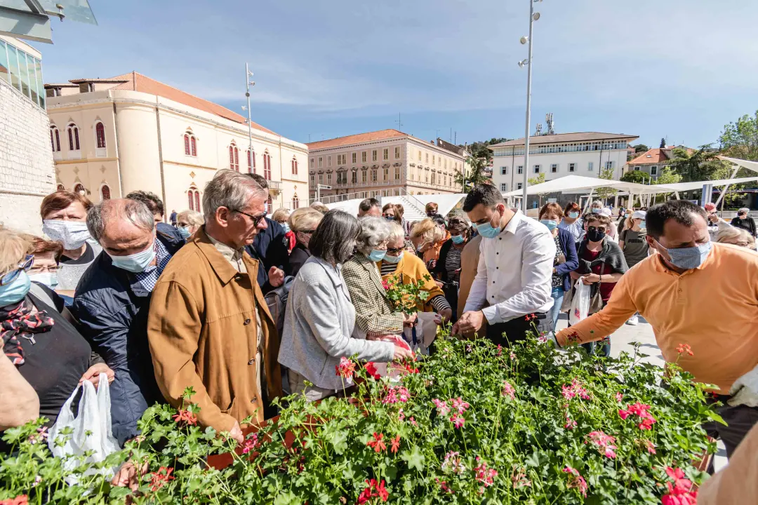 Umirovljenički stampedo za sadnice đirana na Poljani: ‘Gužva je veća za cvijeće nego za cijepljenje’