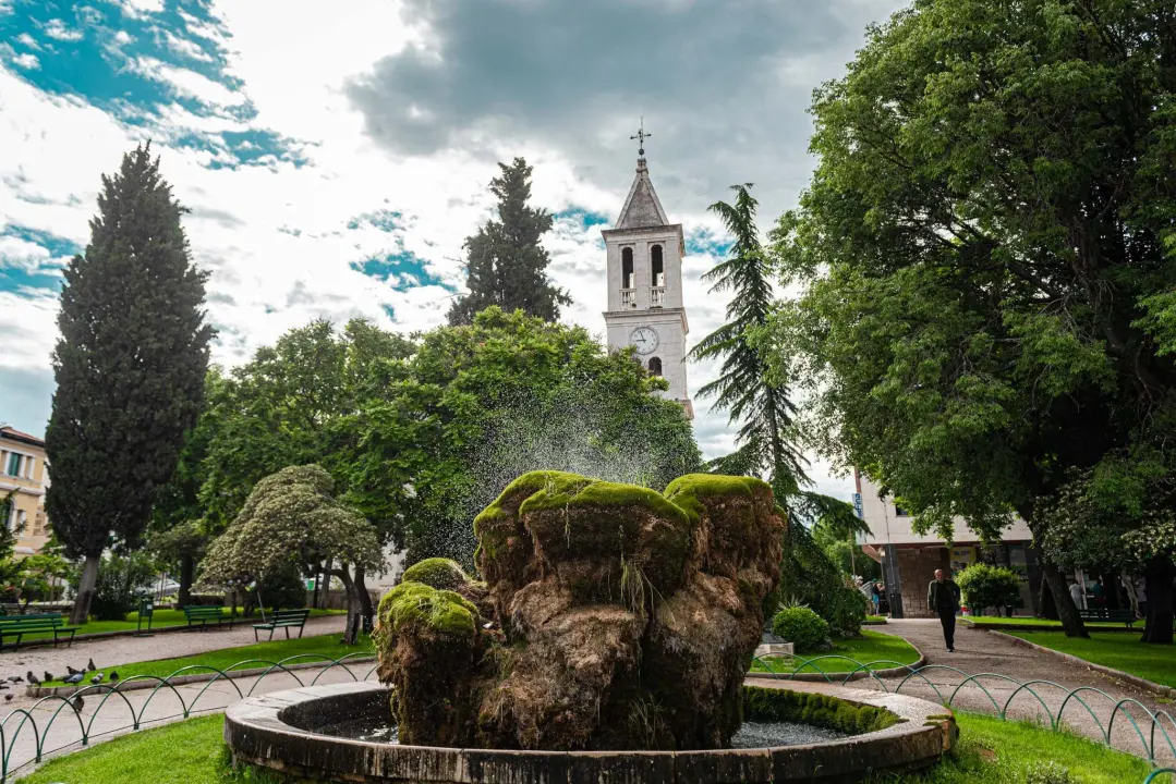 Zeleni grad u đardinu postavio edukativne table: Stabla na rivi i Poljani tretirali protiv nametnika 