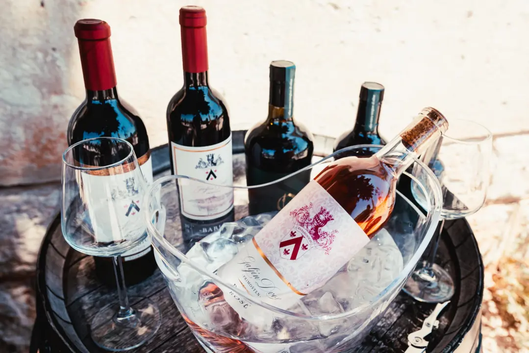 Taste Like Dalmatia: Još danas imate priliku kušati vrhunska vina, maslinova ulja i craft pive, a u subotu na šibenskoj rivi čekaju vas pidoče i debit!