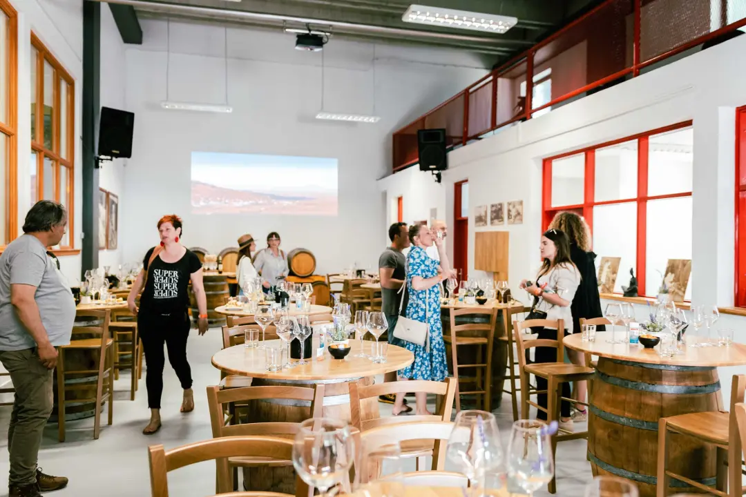 Taste Like Dalmatia: Još danas imate priliku kušati vrhunska vina, maslinova ulja i craft pive, a u subotu na šibenskoj rivi čekaju vas pidoče i debit!