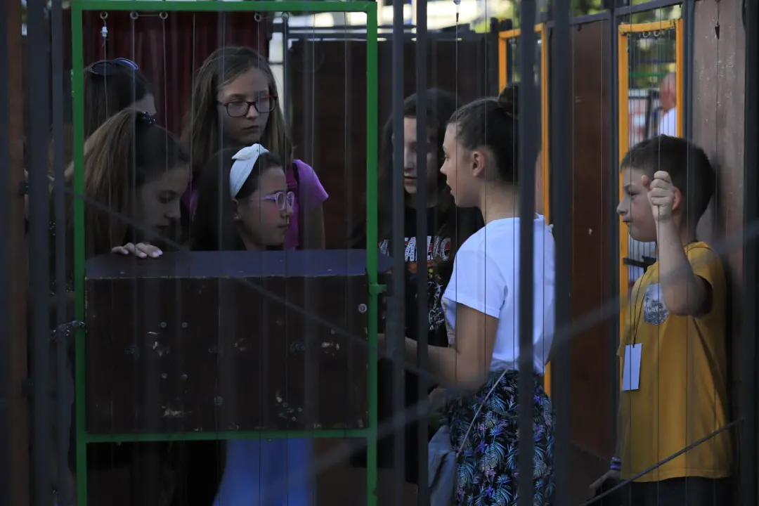 Jeste li pokušali proći kroz labirint na Poljani?