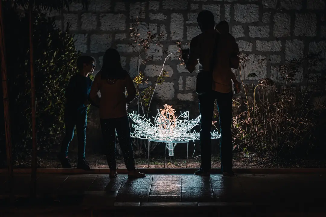 Šibenik zasjao svjetlosnim instalacijama i vatrometom: Na rivi prikazani i filmski kadrovi grada iz 1904. godine