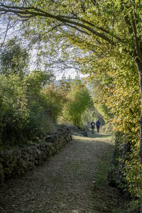 Rujan je za Krku! U tjednu kretanja ulaznice za staze uz Krku po jeftinijim cijenama, evo svih detalja