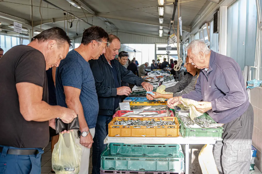 Od ogromnih kokota i mola sa šibenske peškarije dalo bi se skuhati juhu za omanji bataljun  