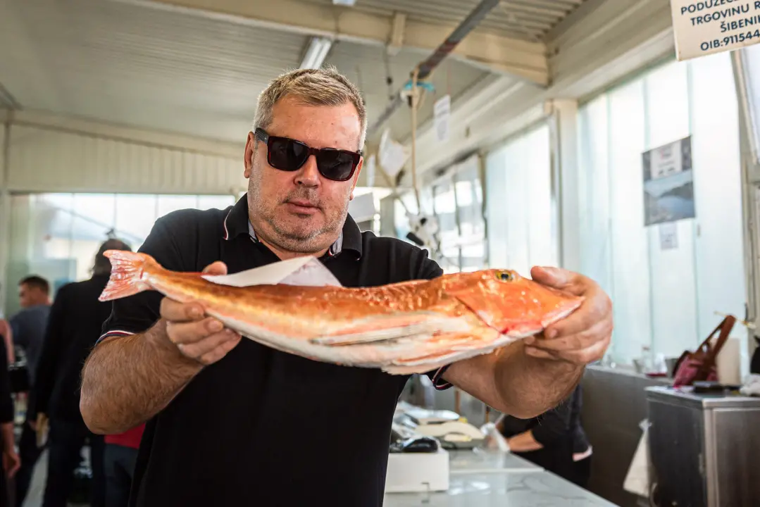 Od ogromnih kokota i mola sa šibenske peškarije dalo bi se skuhati juhu za omanji bataljun  