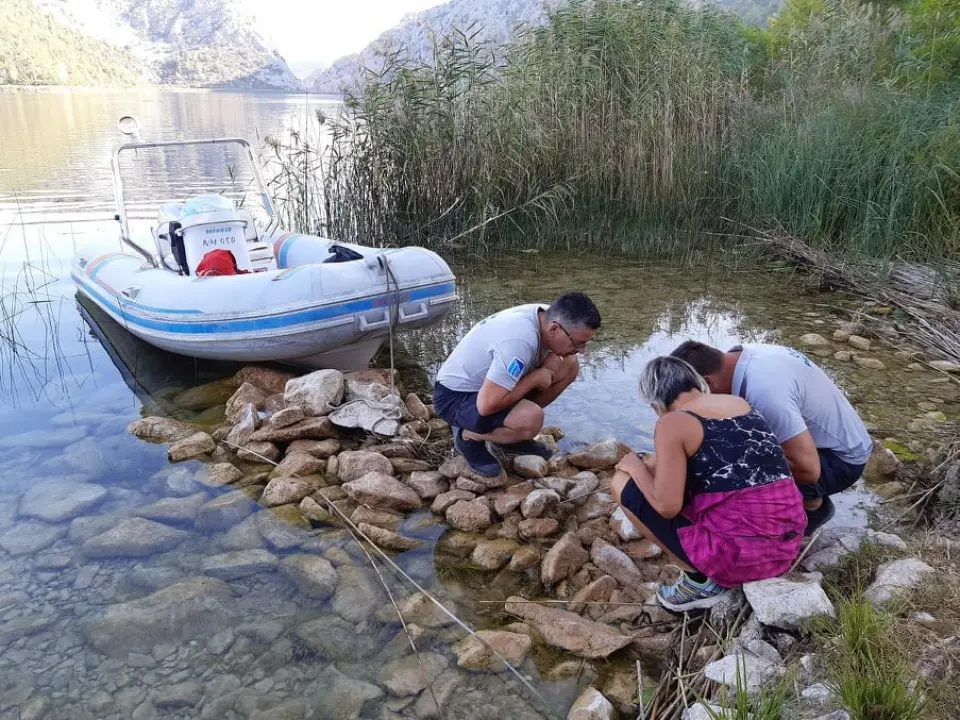 U NP Krka tijekom rujna pratili prisutnost vidre: Evo što su saznali o toj strogo zaštićenoj vrsti 