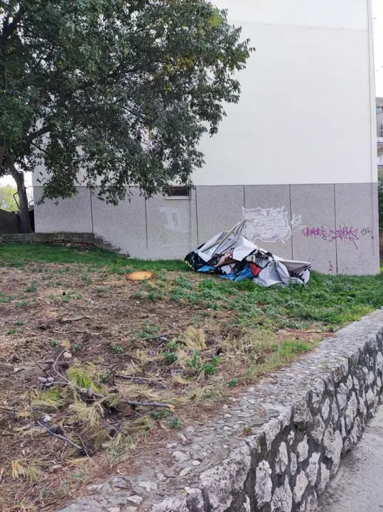 Stablo na Krvavicama platilo danak reklami? Ne znamo razlog, ali danas je posječeno