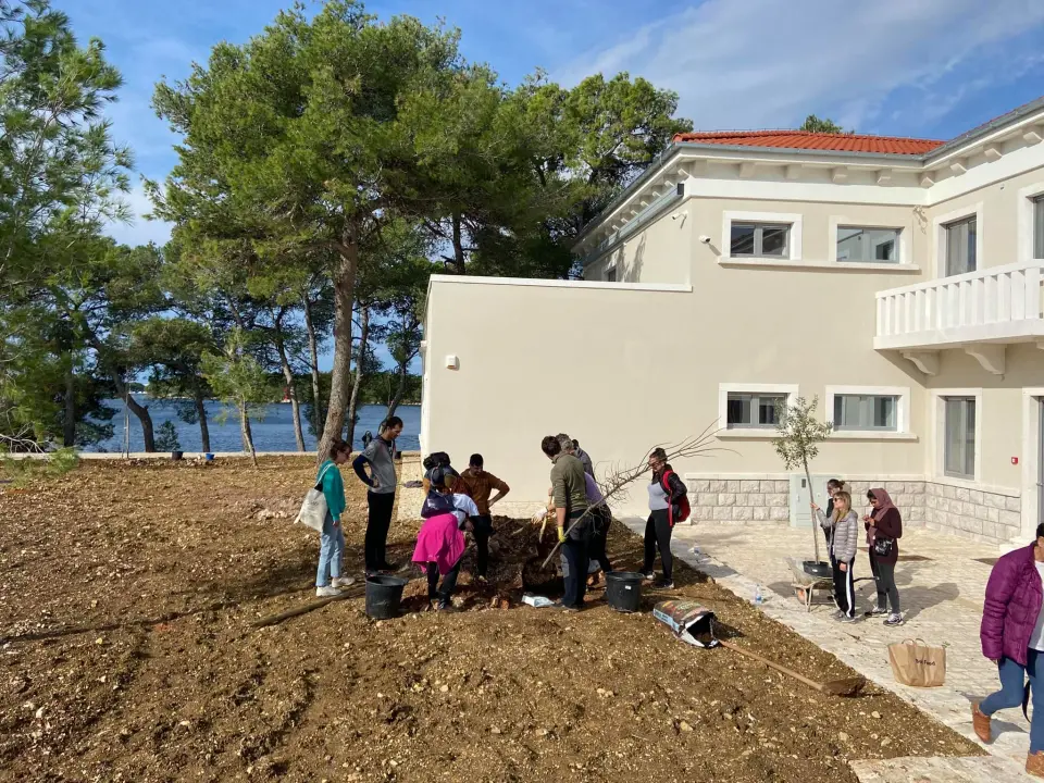 Šibenski volonteri s kolegama iz Europe zasadili mlada stabla u uvali Minerska u kanalu