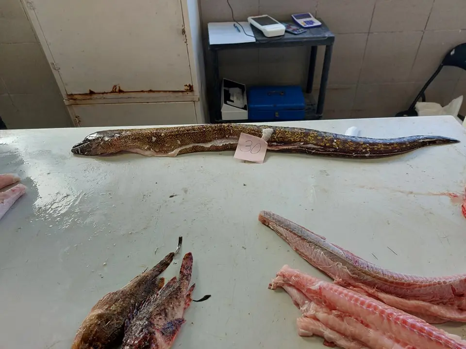 Na peškariji skromna ponuda zbog bure: Srdele, brancini i jedna murina