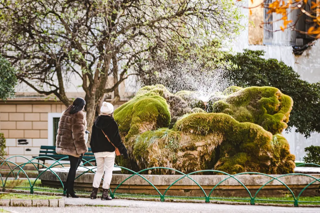 Kako je sedra narasla više od tri metra: Fotografije posljednjih šest godina pokazuju zašto joj treba spas