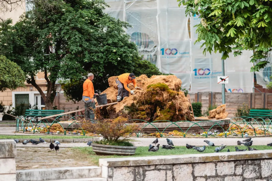 Uklonjen dio sedre kojemu je prijetilo urušavanje: Opet će zazeleniti, a kornjače dobivaju sunčalište