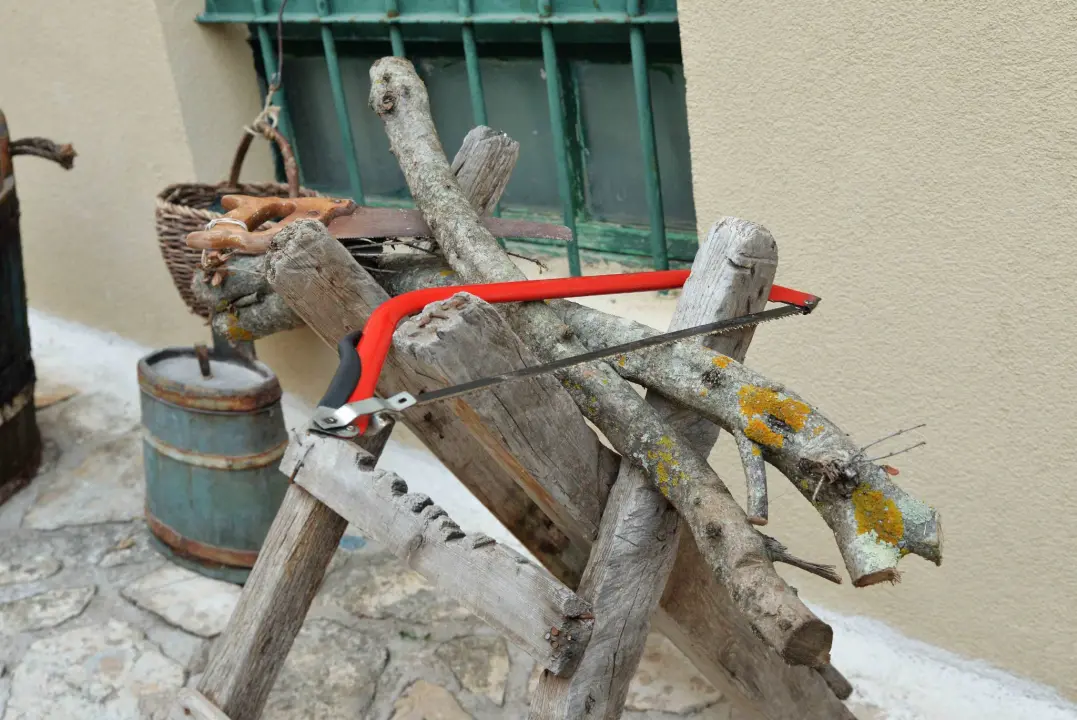 Betinjani pokazali kako su nekad izgledali kućanski poslovi i što se jelo
