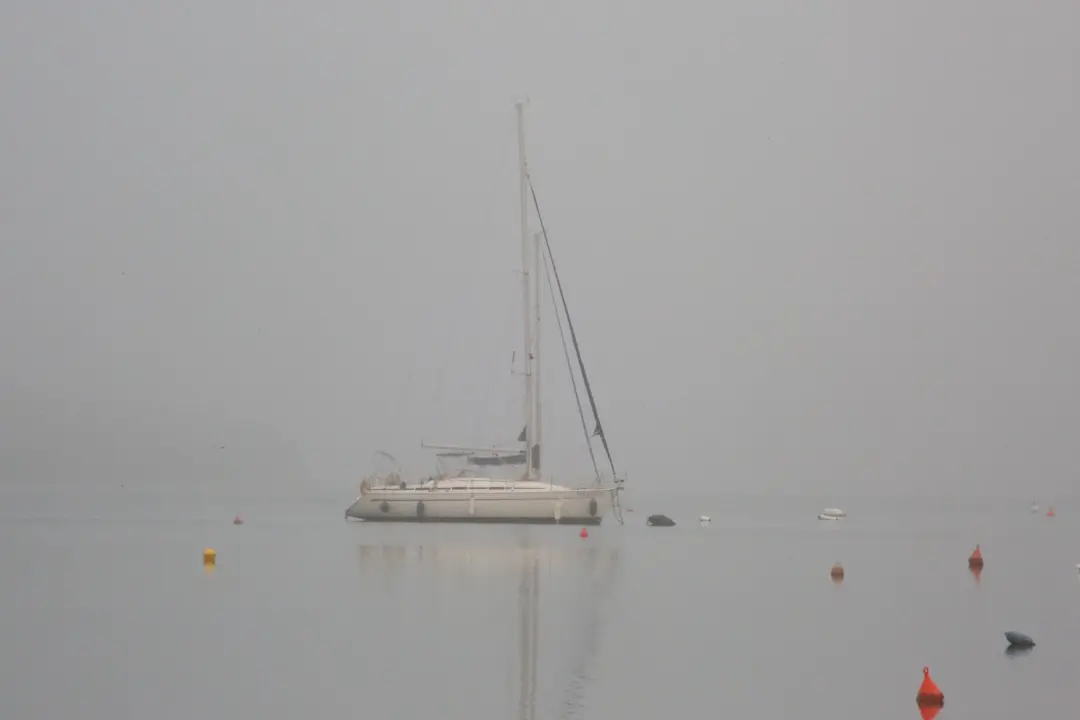 Tisno prekriveno maglom izgleda kao da ga je naslikao Claude Monet!