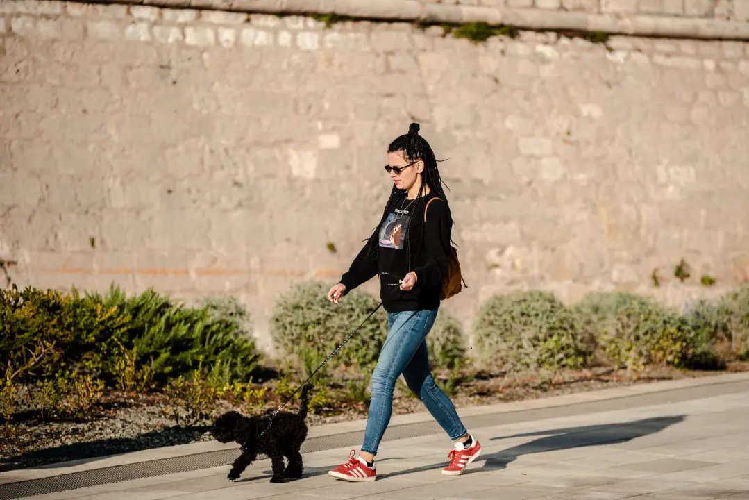 FOTO Đir po gradu, petak 28. listopada
