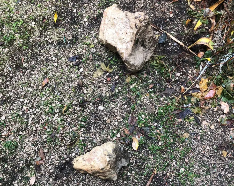 'Čeka li gradska uprava da netko pogine?' Stanari Škopinca na mukama, u dvorišta im godinama padaju stijene