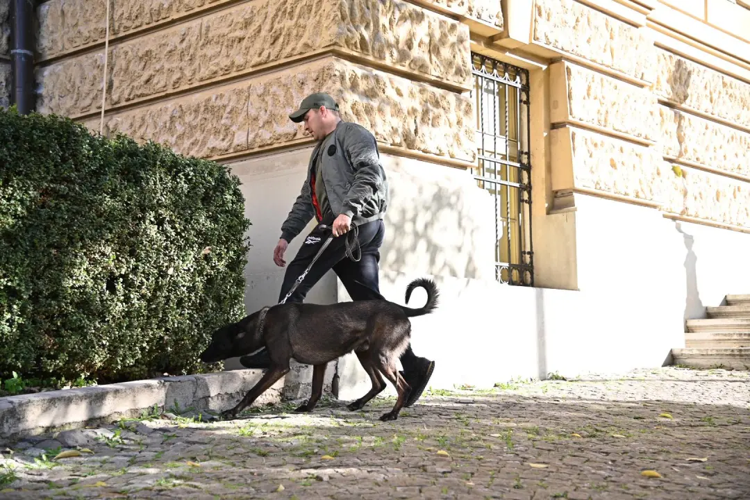 Dojave o bombama po cijeloj Hrvatskoj: Na šibenskom sudu nije pronađena eksplozivna naprava