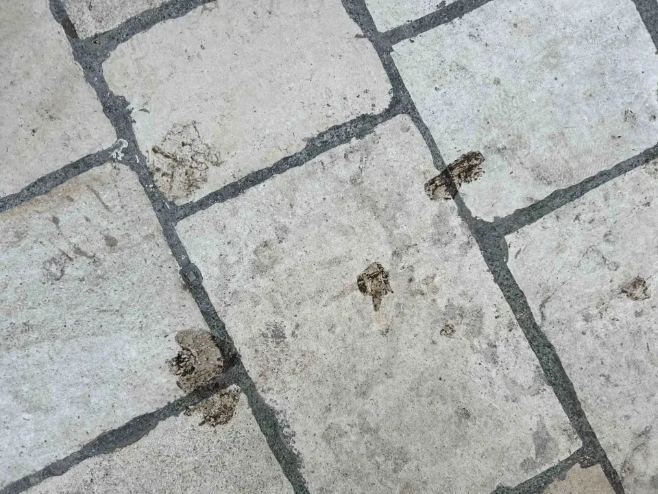 Šibenik njeguje tradiciju, barem onu srednjovjekovnu prljavih ulica!