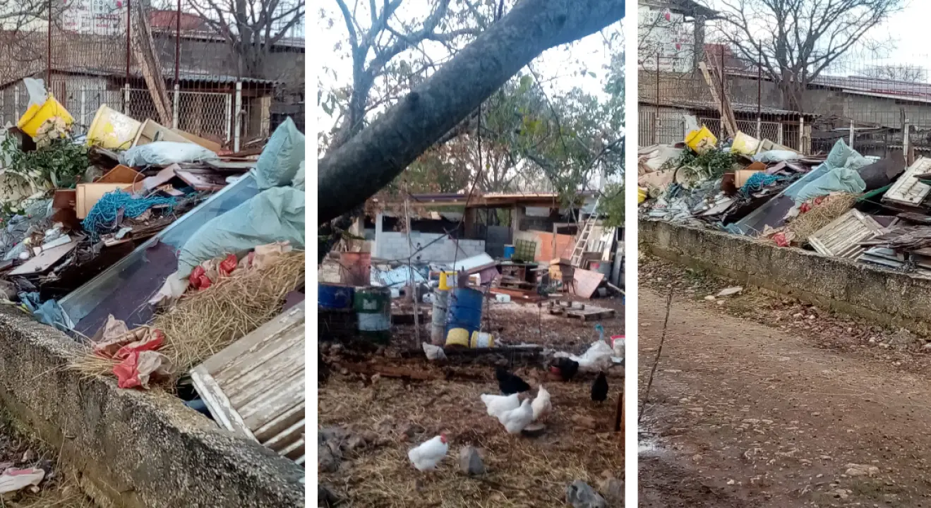Vlasnici apartmana u Brkićima o ovcama: 'On tu ni ne živi, a svugdje ostavlja smeće. Protiv stočarstva nemamo ništa' 