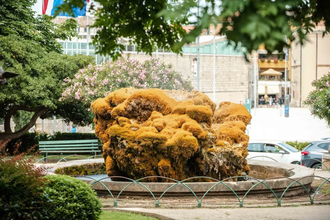 Fontana ispred Gospe van grada malo je požutila: Za par dana opet će zazeleniti, obećali su iz Zelenog grada 