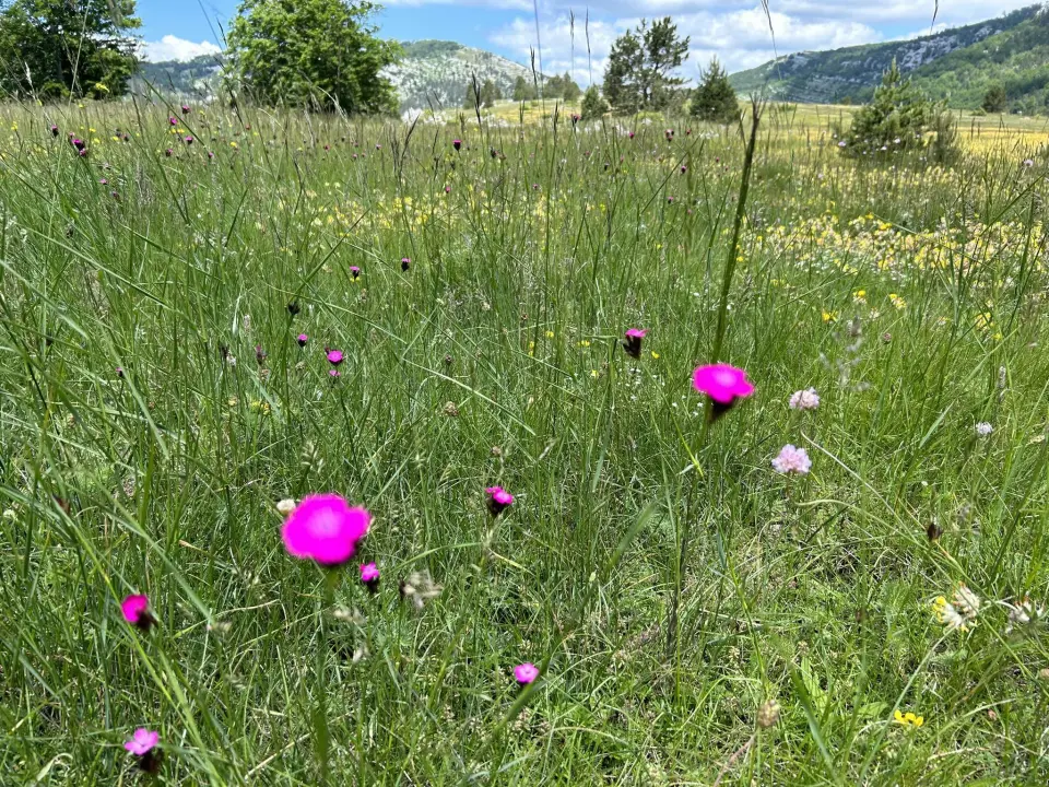 Pogledajte predivne kadrove s Krčića i Dinare, još imate vremena isplanirati izlet  