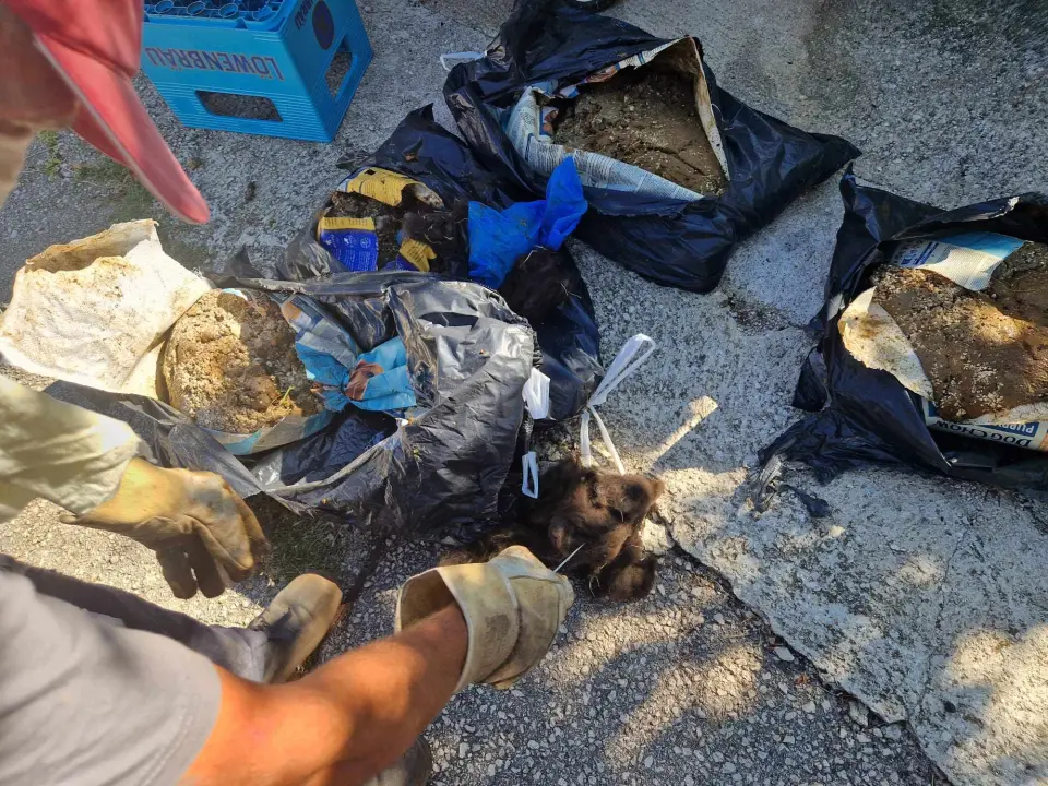 Volonteri kninske udruge ostavili 20 vreća životinjskog otpada u centru Kijeva