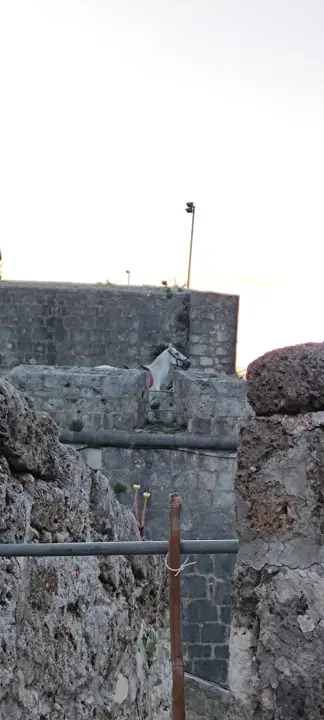 Gracija je kostimografkinja koja se iz Zagreba vratila u Zagoru i danas se bavi uzgojem konja