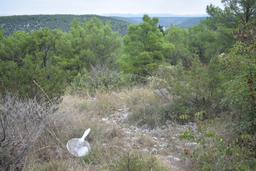 Nacionalni park Krka i ove je godine dio svjetskog eko-projekta Zelena čistka