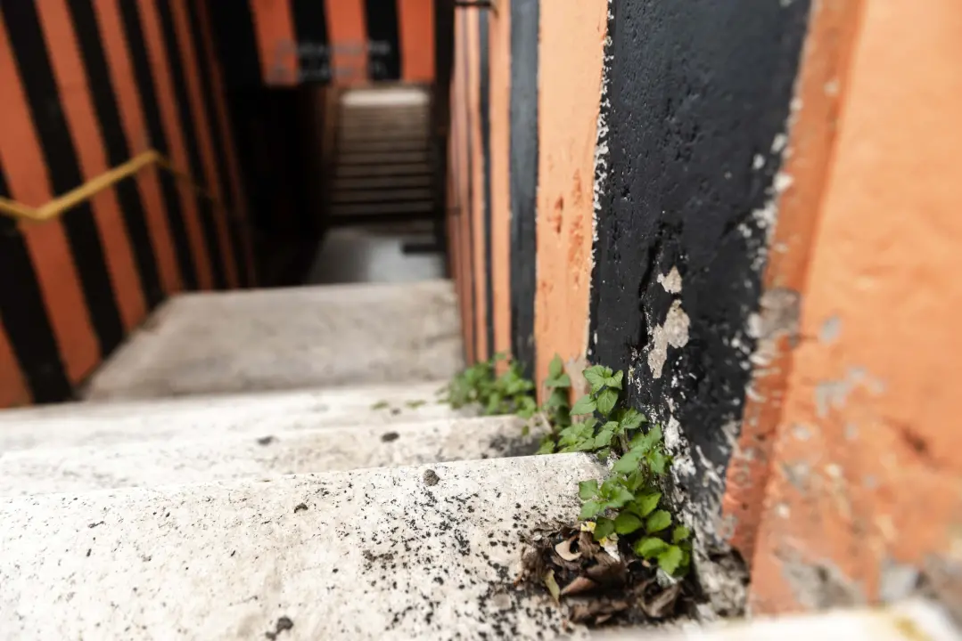 Počinje obnova pothodnika na Baldekinu, bit će prebojani ilegalni grafiti, murali ostaju