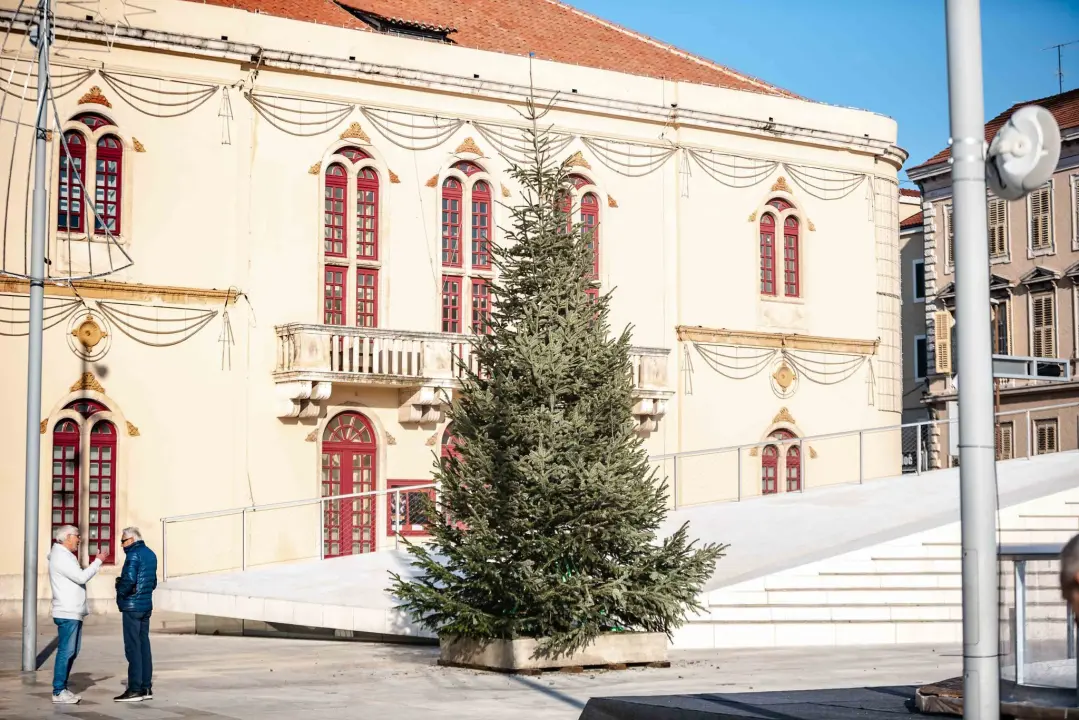 Stigao blagdanski bor na Poljanu