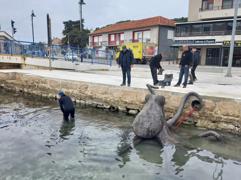 Mulo kod mosta u Tisnom napala gigantska hobotnica: Vjerojatno je riječ o 'osveti' 