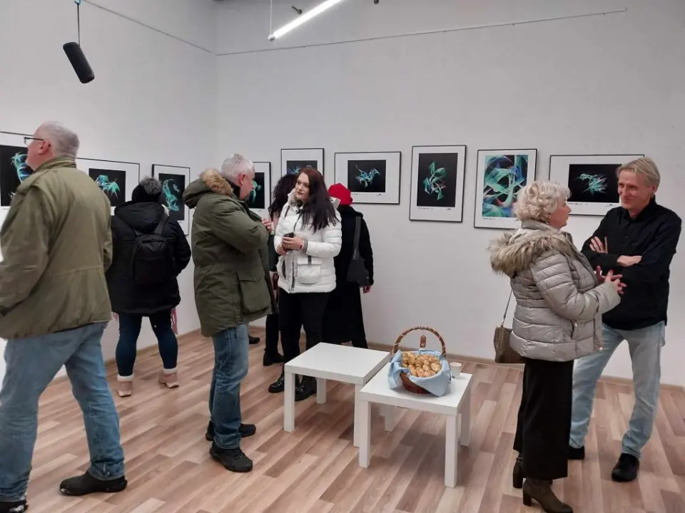 Originalnom izložbom Hoyka predstavio svoje kvantne životinje u Kninu