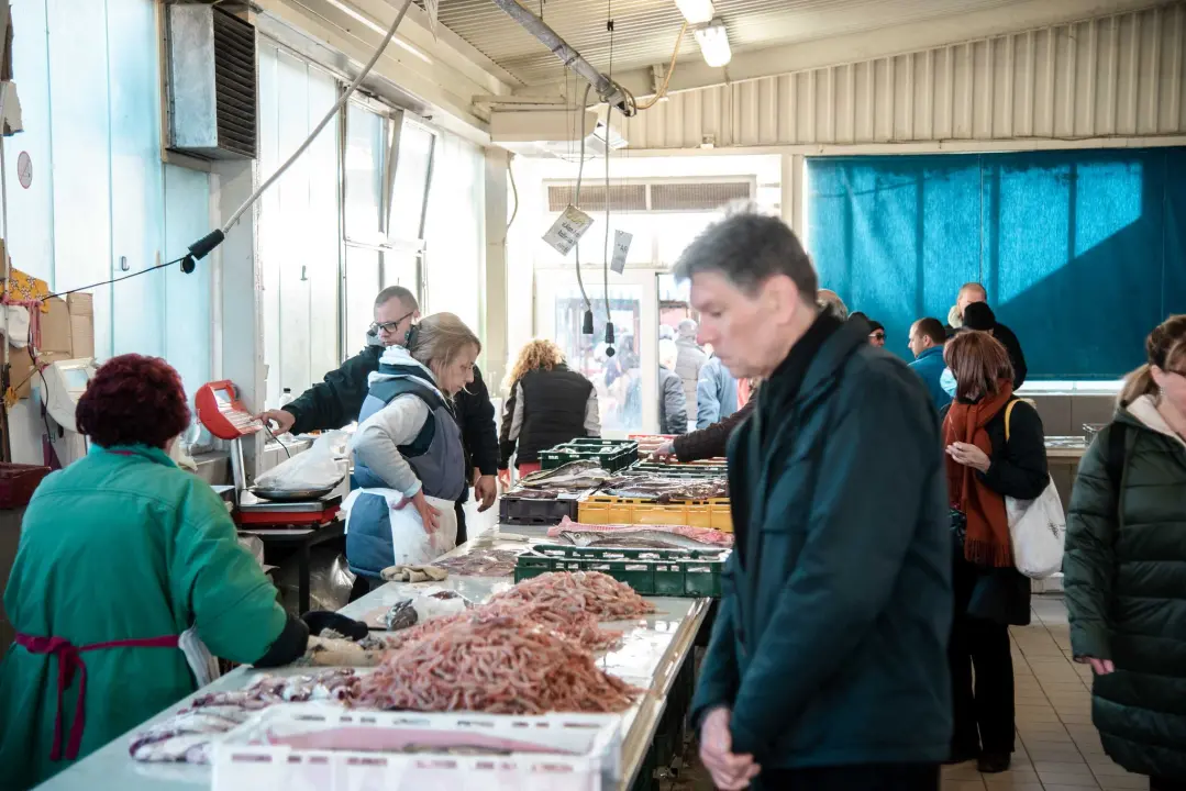 Šibenska peškarija danas nudi hamu, ribu na rubu istrebljenja u Jadranu