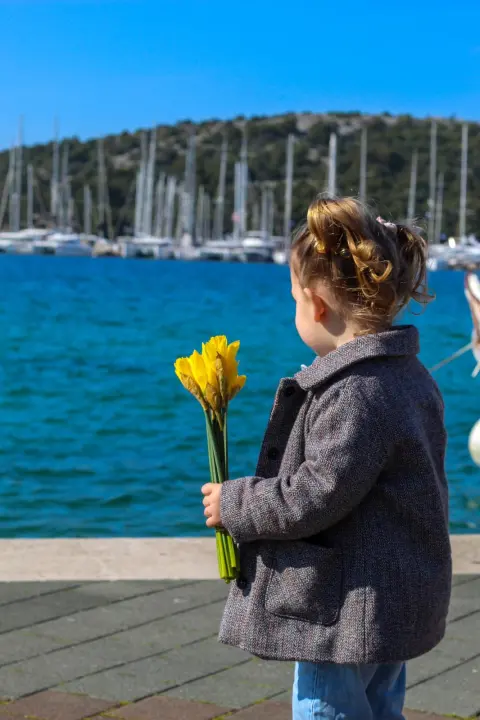 Dan narcisa obilježen u Rogoznici