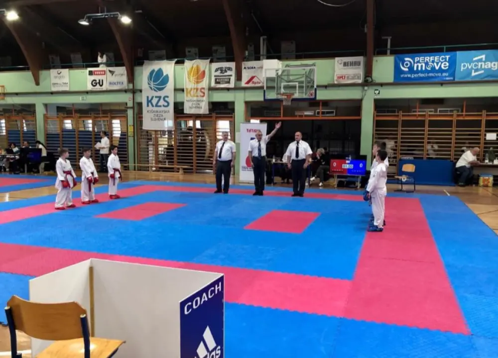 Borci KK Phoenix na natjecanju u Postojni ostvarili vrhunske rezultate 
