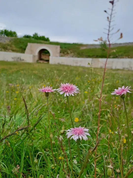 Studenti Turističkog menadžmenta VUŠ-a na terenskoj nastavi u NP Krka