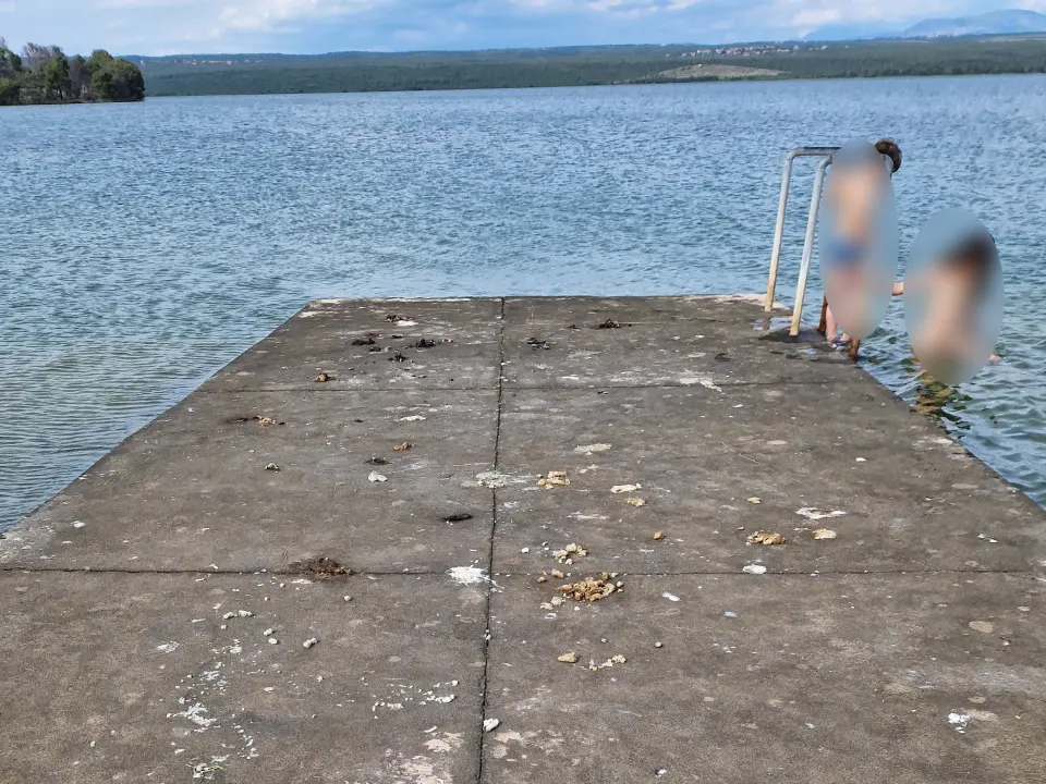 Odvratan prizor iz Rasline: Djeca do mora idu pored psećeg izmeta