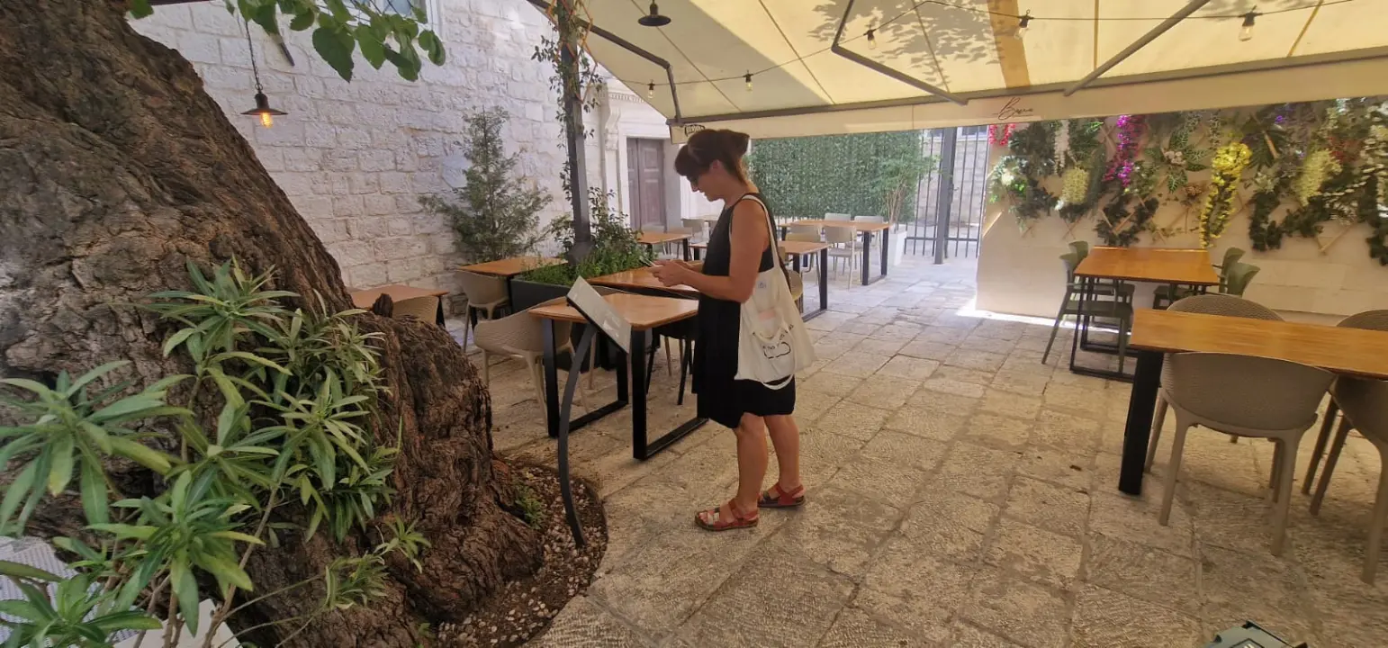 Živa sedrena fontana i Šimunova murva u Šibeniku dobili posebne oznake
