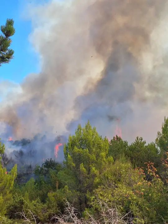 Gori iznad Roškog slapa, požar u zaleđu Skradina i dalje aktivan: Na terenu je 159 vatrogasaca