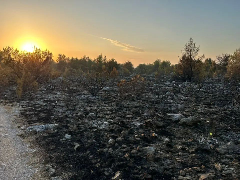 U katastrofalnom požaru u skradinskom zaleđu stradale i brojne životinje