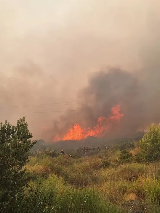 Oni su naši heroji: Evo koje teške poslove rade hrvatski vatrogasci