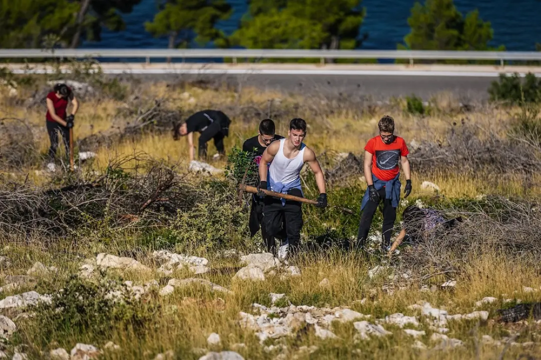 Stotine volontera pošumljavalo požarište u Grebaštici