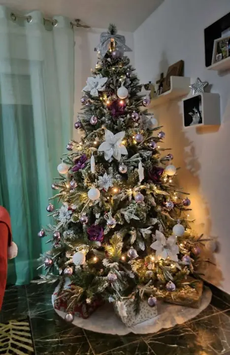Provjerite tko su pobjednici izbora za naj jelku!