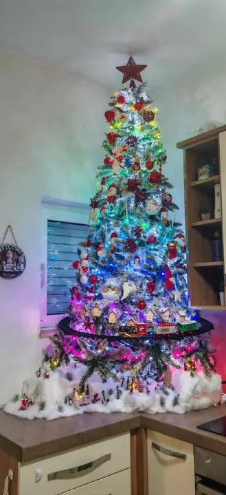 Provjerite tko su pobjednici izbora za naj jelku!