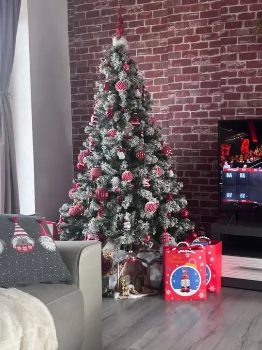 Provjerite tko su pobjednici izbora za naj jelku!