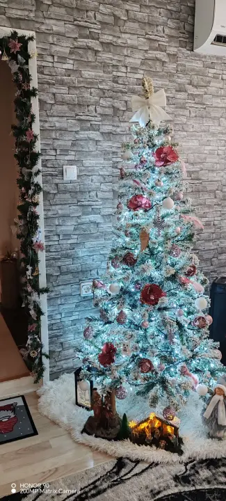 Provjerite tko su pobjednici izbora za naj jelku!