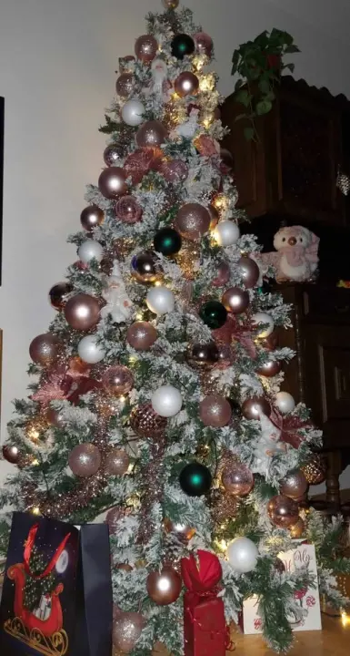Provjerite tko su pobjednici izbora za naj jelku!