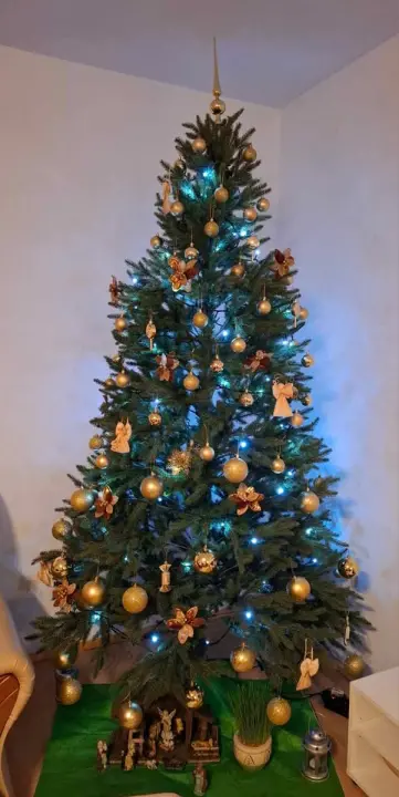 Provjerite tko su pobjednici izbora za naj jelku!