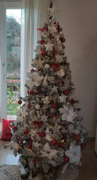 Provjerite tko su pobjednici izbora za naj jelku!